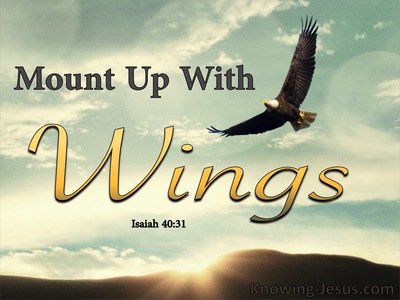 isaiah trust lord those who soar blue